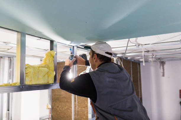 Best Specialized Insulation Services in Vine Hill, CA